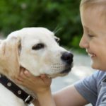 Talk to the Animals – Dog Safety