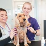 The importance of regular health checks