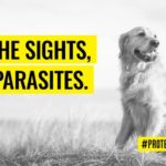 How to prepare for your #staycation