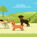 Canine Contagious Cough (CCC)