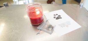 Lit red candle, poster with a paw print and pet bereavement message on, and a small bag containing a lock of pet hair