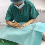 Neutering Journey – Callie’s Story Part 3