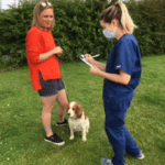 Neutering – Callie’s Journey Part 2