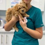 Helen Booth RVN – Blackpool Branch Manager