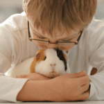 Why choose rabbits, hamsters, or other small furry pets for your child