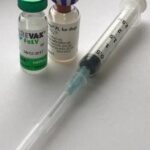 Why vaccinating your dog is important.