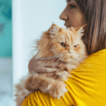 Vet Ruth Mackay shares advice on dealing with an anxious cat
