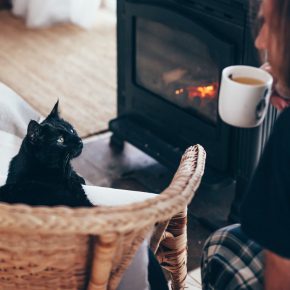 Can Seasonal Affective Disorder affect cats in Lancashire?