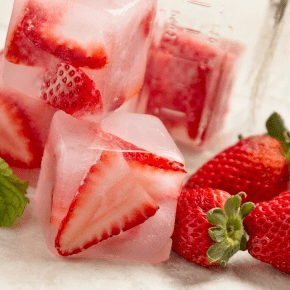 The Heat is on in Lancashire – How to Keep Your Pets Cool