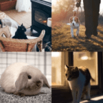 Autumn Changes for Dogs, Cats and Rabbits in Lancashire