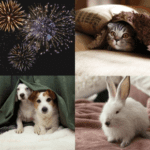 Fireworks and New Pets: Nicole’s Guide to Staying Calm