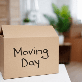 Moving House? Going Away? How to Help Your Dog Feel Settled