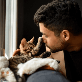 Rowan Vets on the Mental Health Benefits of Owning Pets