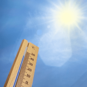 Pet Heatstroke Help: Spot the Signs and Act Fast