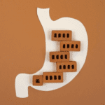 How to Alleviate Constipation in Dogs, Cats and Other Pets