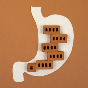 How to Alleviate Constipation in Dogs, Cats and Other Pets