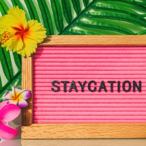 Home for the Holidays? Treat Your Pet to a Summer Staycation