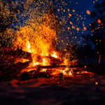 Bonfire Night Basics for Pet Owners