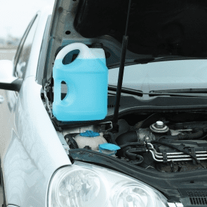 Key Signs of Antifreeze Poisoning from Our Vets in Preston