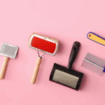 Why Your Pet Needs a 2026 Skincare Routine