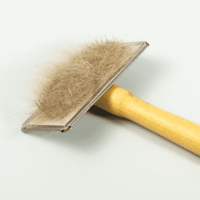 Spring Shedding Advice for Dog, Cat & Rabbit Owners