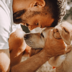 When Do Pets Become Senior? Explained by Rowan Vets